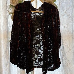 Velvet Burnout Sheer Blouse